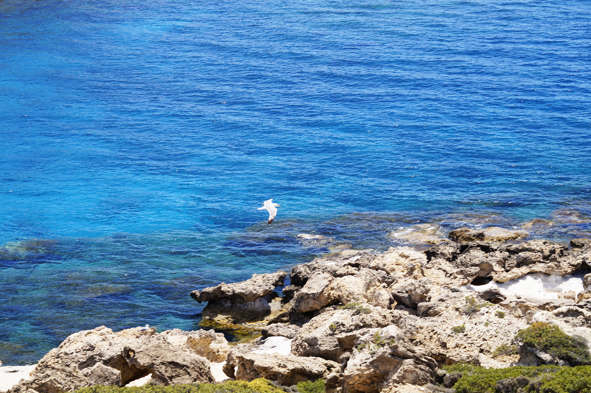 Sony SLT-A58 + Sony DT 55-200mm F4-5.6 SAM sample photo. Stegna, Στεγνά, greece photography