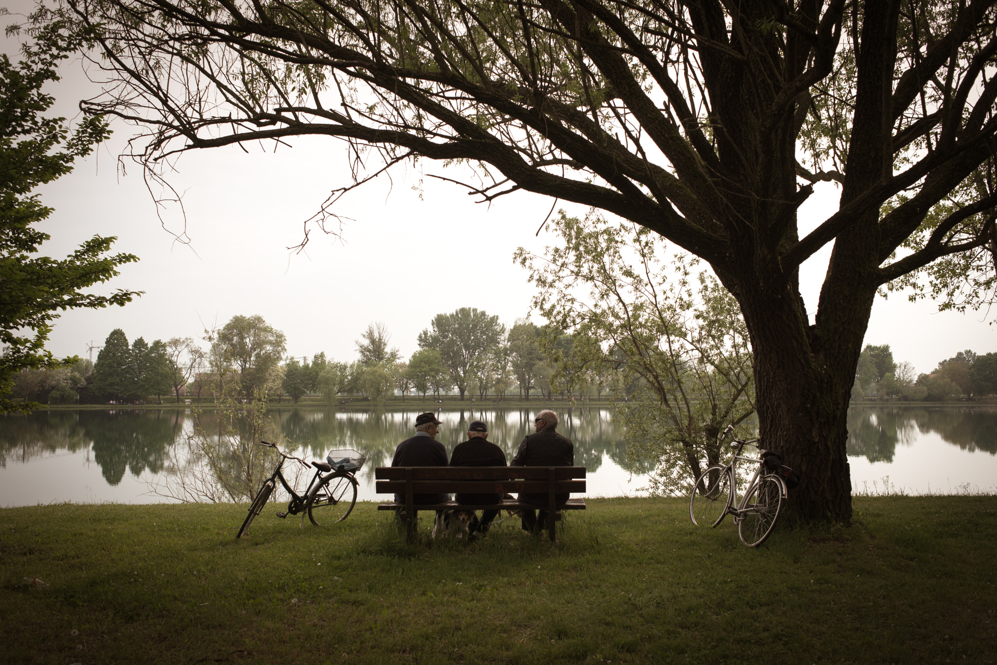 Nikon D610 + Nikon AF Nikkor 35mm F2D sample photo. At the park photography