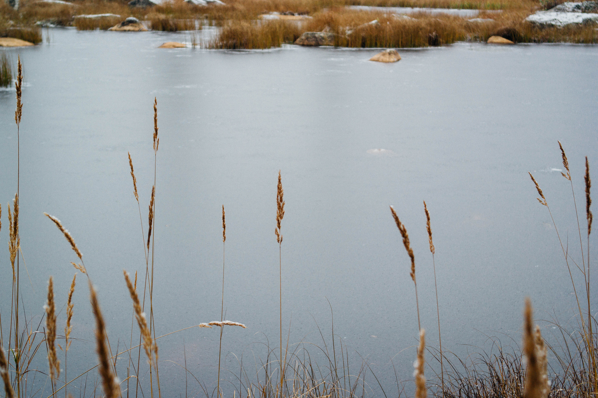Samsung NX 20-50mm F3.5-5.6 ED sample photo. Hay photography