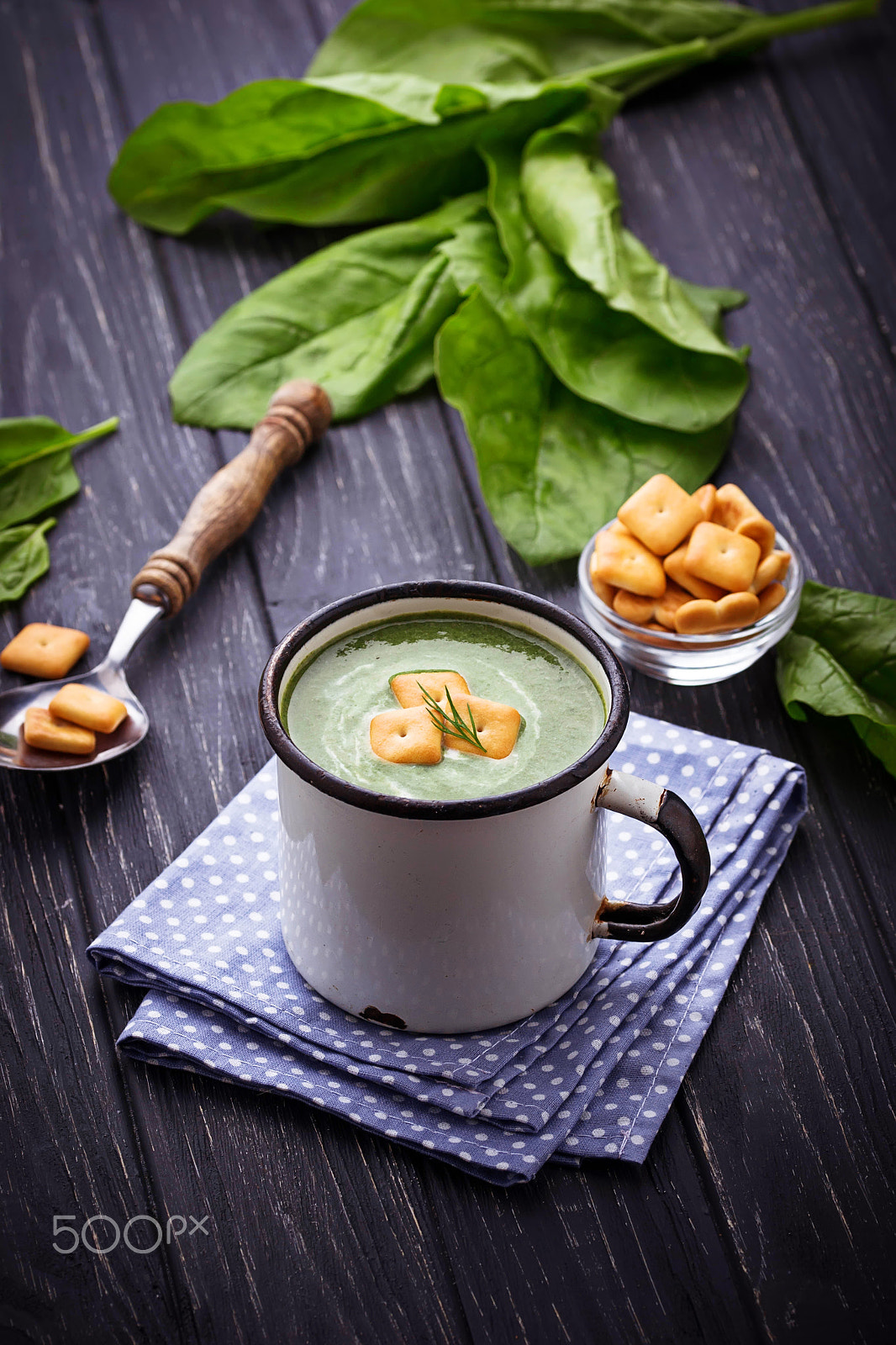 Sigma 105mm F2.8 EX DG OS HSM sample photo. Spinach cream soup with croutons photography