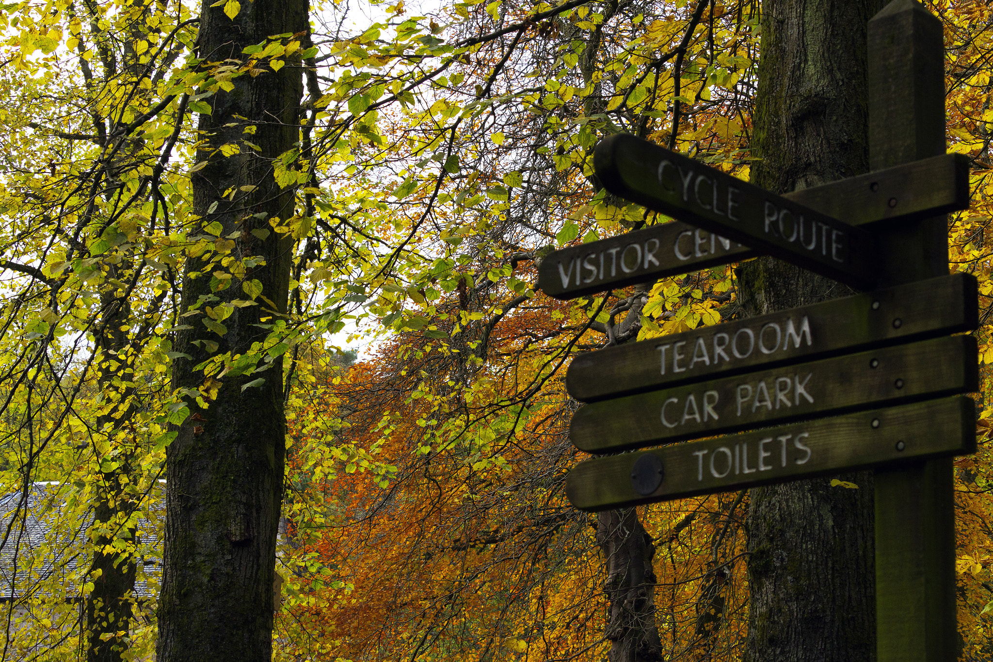 Canon EF-S 55-250mm F4-5.6 IS STM sample photo. Woodland path signs photography