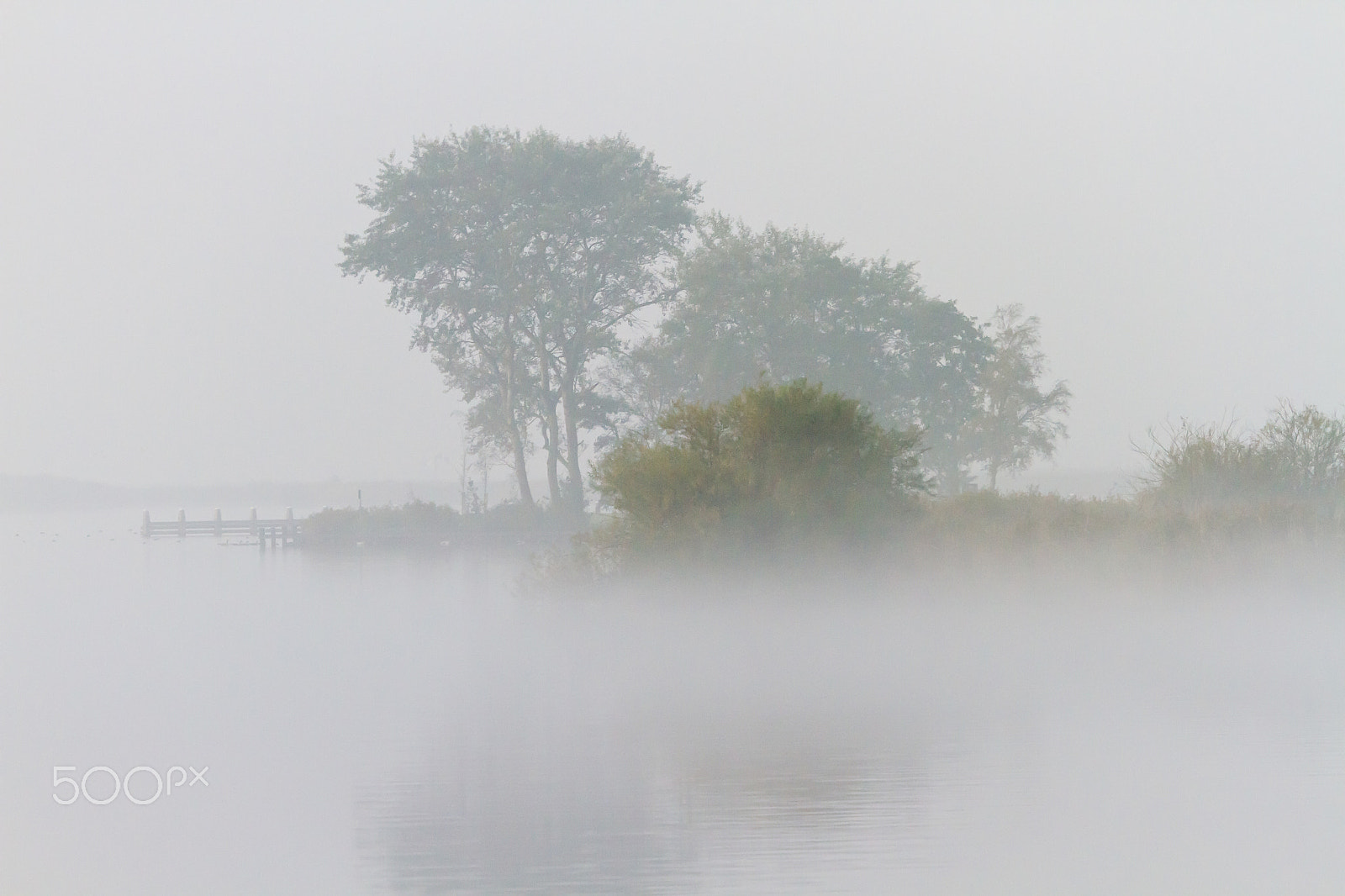 Canon EOS 7D + Canon EF 70-300mm F4.5-5.6 DO IS USM sample photo. Foggy morning iii photography
