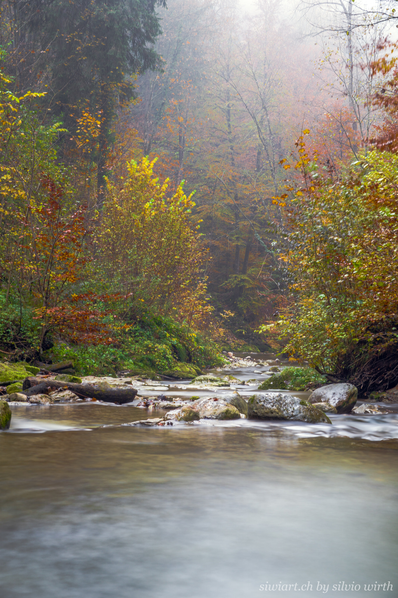 Sony DT 16-105mm F3.5-5.6 sample photo. Autumn  / herbst photography