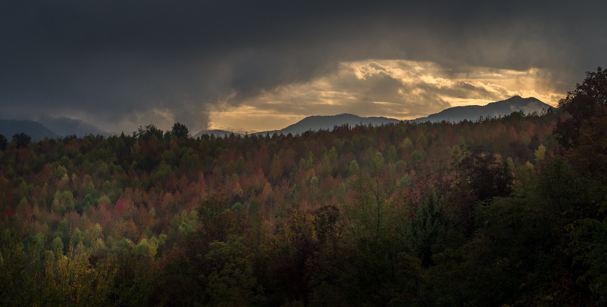 Pentax K-5 II sample photo. Bright autumn photography