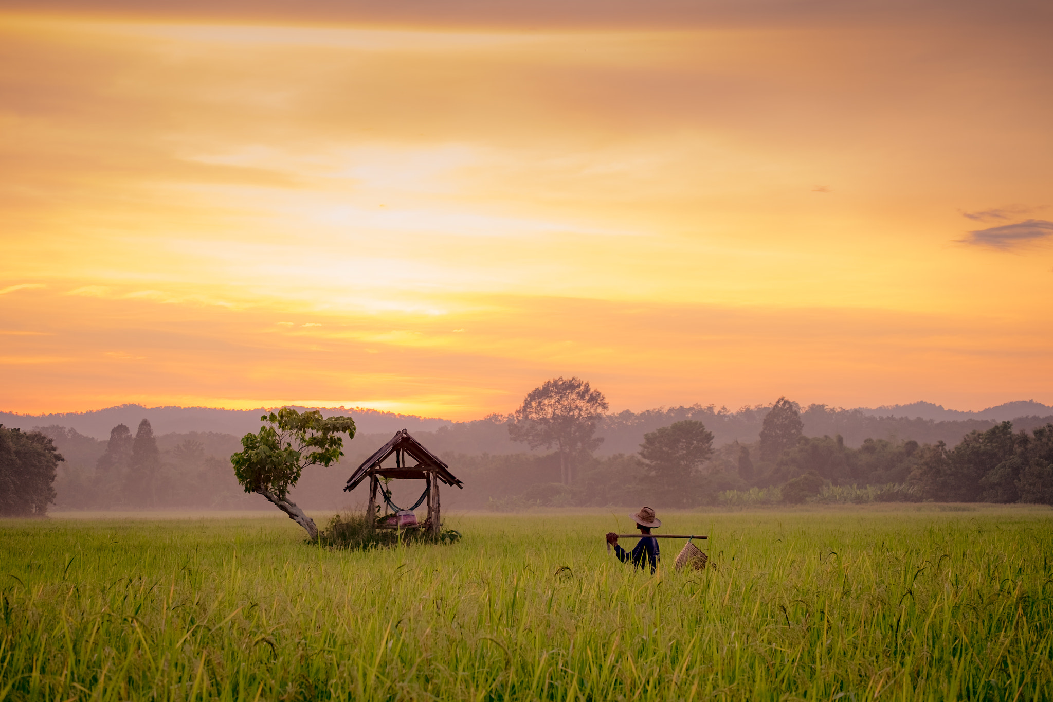 Fujifilm X-T10 + Fujifilm XC 50-230mm F4.5-6.7 OIS II sample photo. Thai famer photography