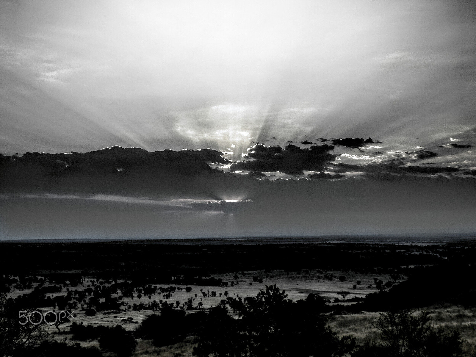 Olympus SZ-31MR sample photo. Cloudy sunset  photography