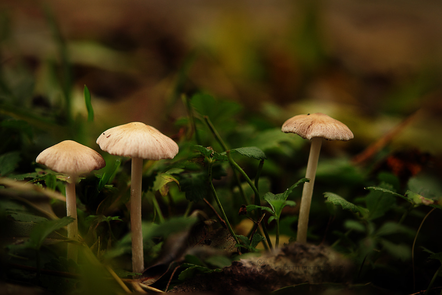 Nikon AF-S Micro-Nikkor 60mm F2.8G ED sample photo. Developing a passion for learning. photography