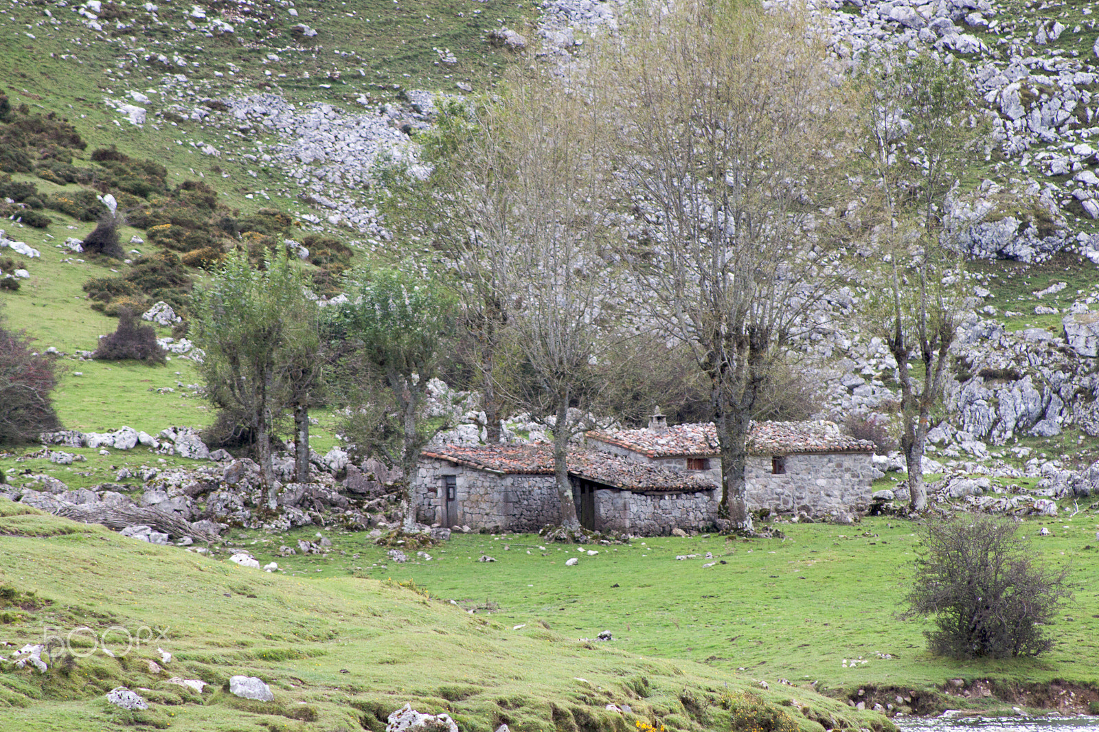 Canon EF 75-300mm f/4-5.6 USM sample photo. Cabañas en el lago enol photography