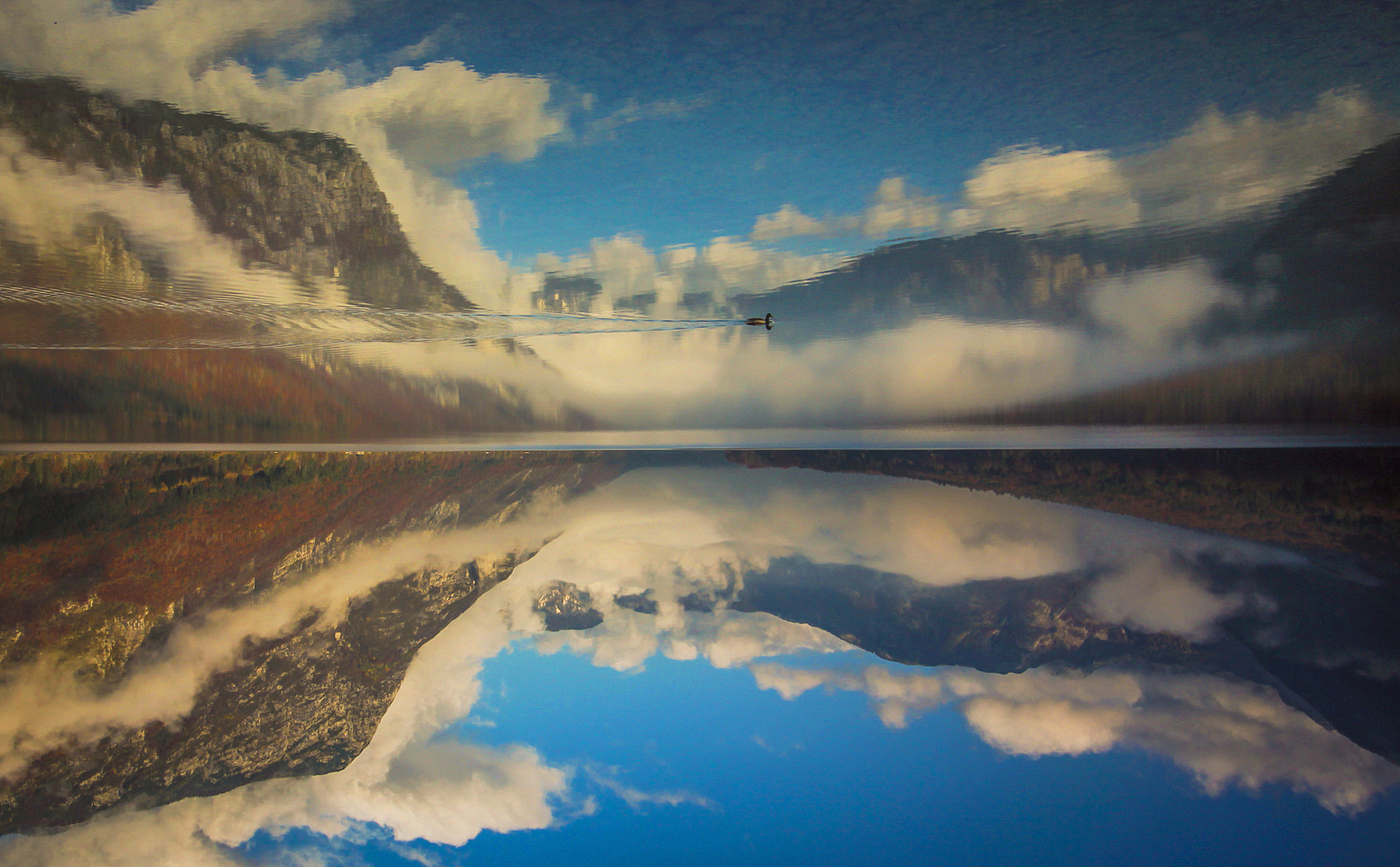 Canon EOS 50D sample photo. Upside down photography