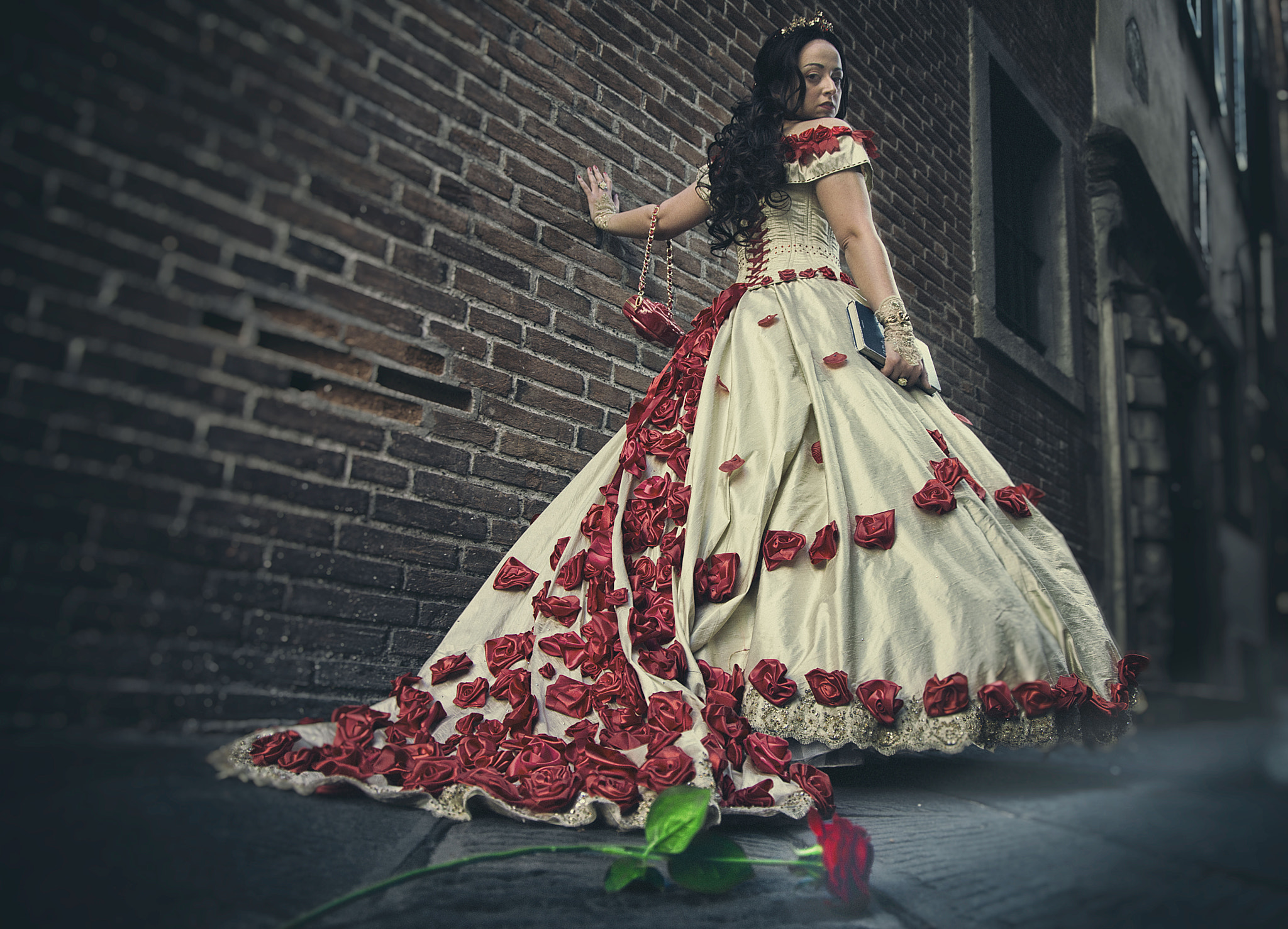 Nikon D800 sample photo. Red rose photography