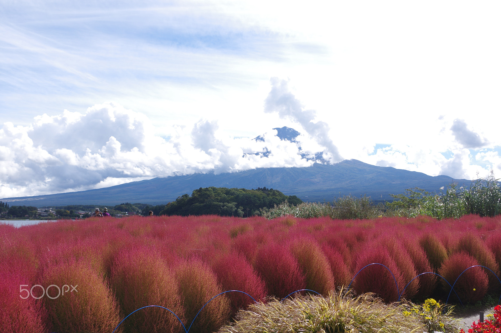 smc PENTAX-DA L 18-55mm F3.5-5.6 sample photo. Autumn at  mount.fuji photography