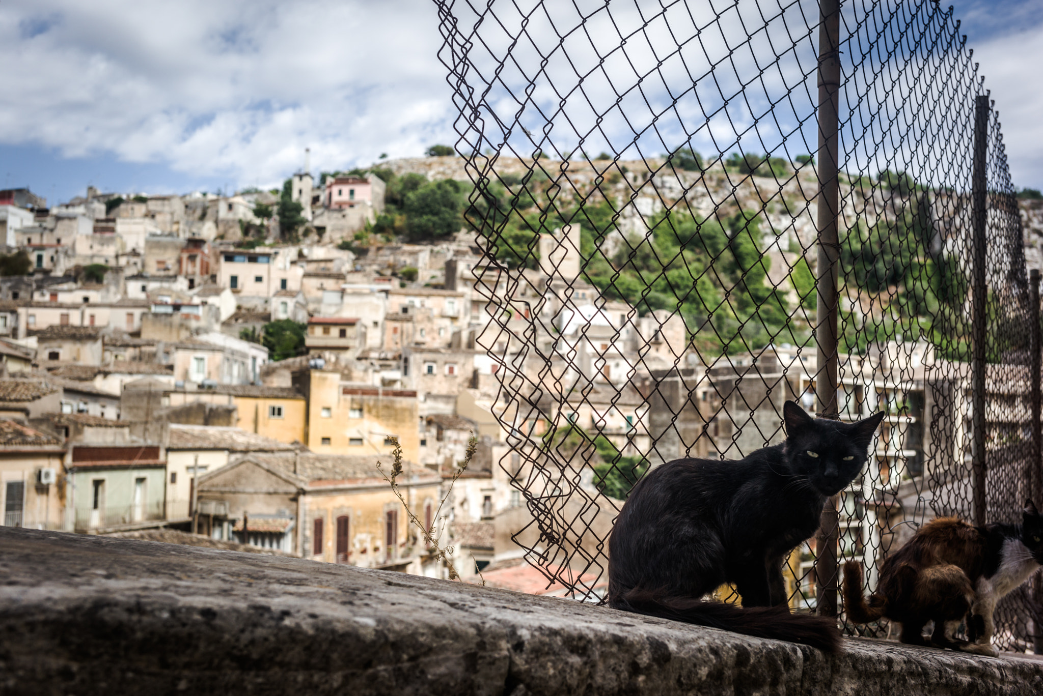 Tele-Elmarit 1:2.8/90 sample photo. The amazing village of modica, sicly photography