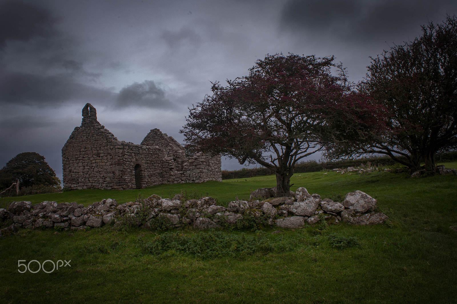 Canon EOS 5D sample photo. Lligwy chapel photography