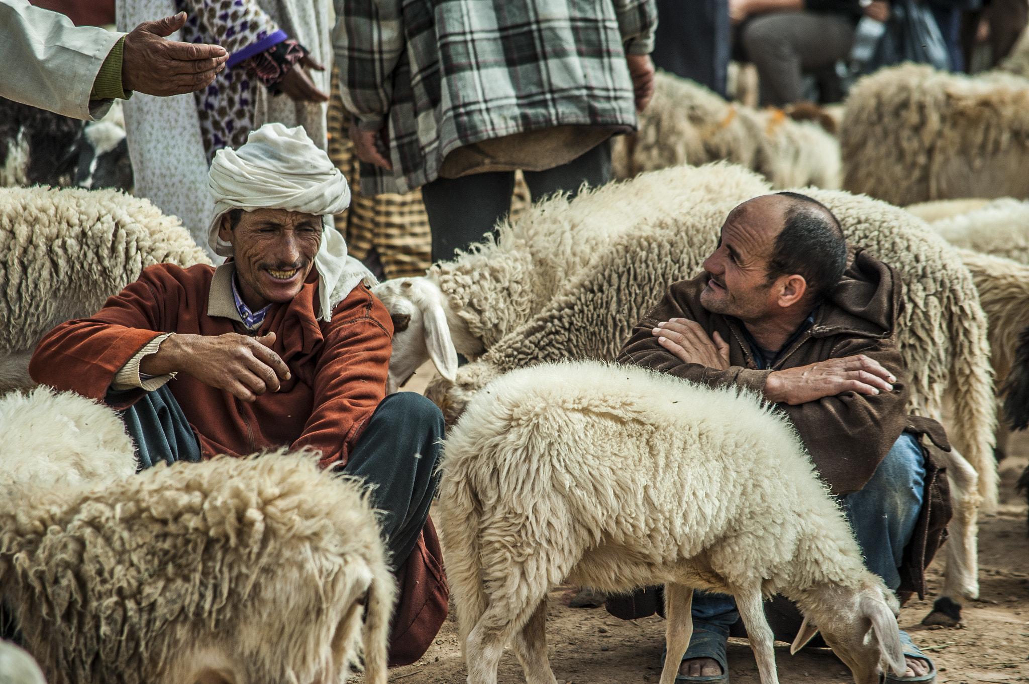 AF Nikkor 70-210mm f/4-5.6 sample photo. الموسم السنوي سيدي الحاج عمر photography