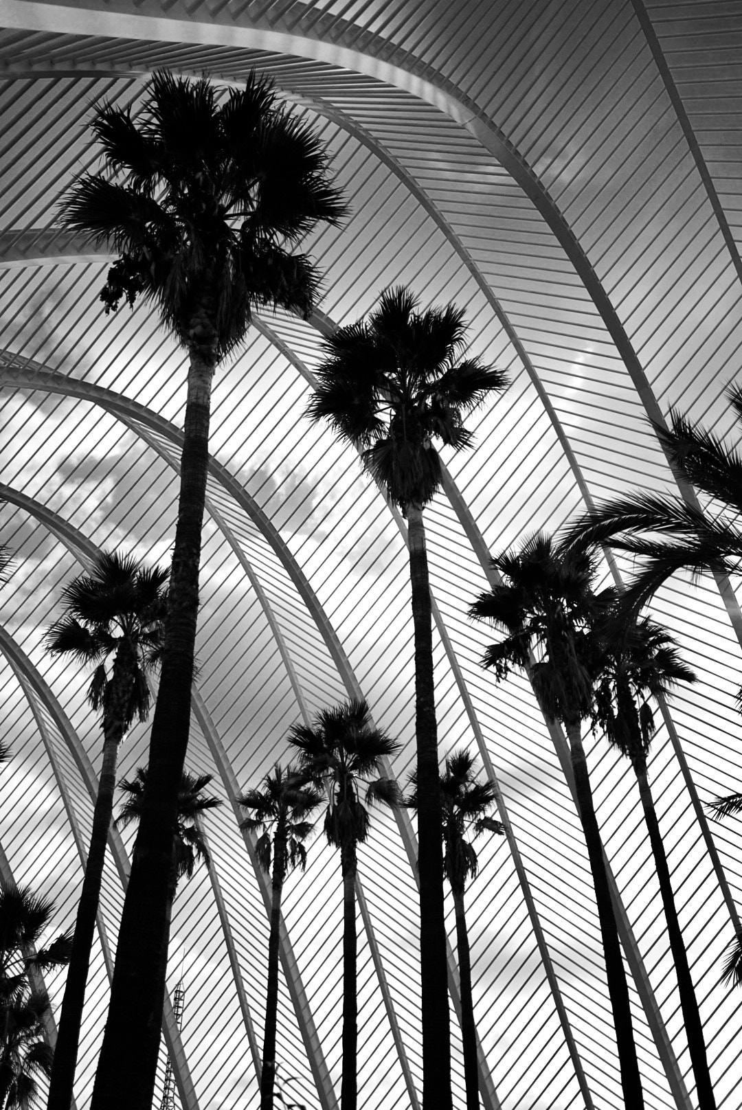 Sony a7 II + Sony Vario-Tessar T* FE 16-35mm F4 ZA OSS sample photo. Crossing lines #3 photography