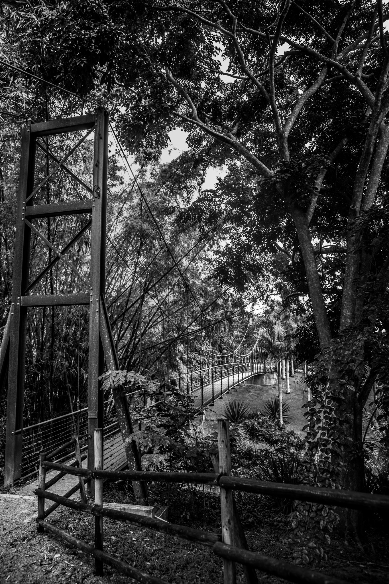 Sony Alpha DSLR-A850 sample photo. Old bridge photography