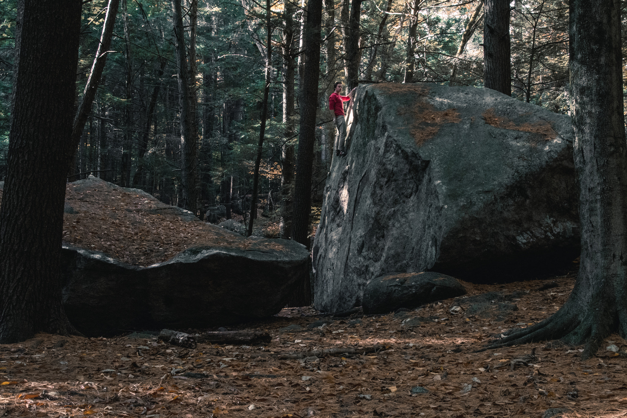 Sigma 17-70mm F2.8-4 DC Macro OS HSM sample photo. Little man big rock photography