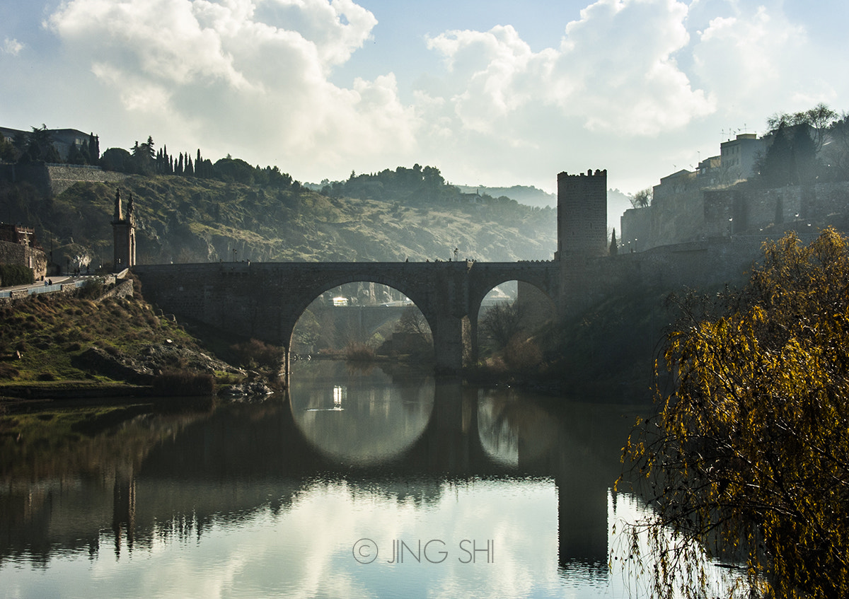 Nikon D50 sample photo. Bridge to toledo photography