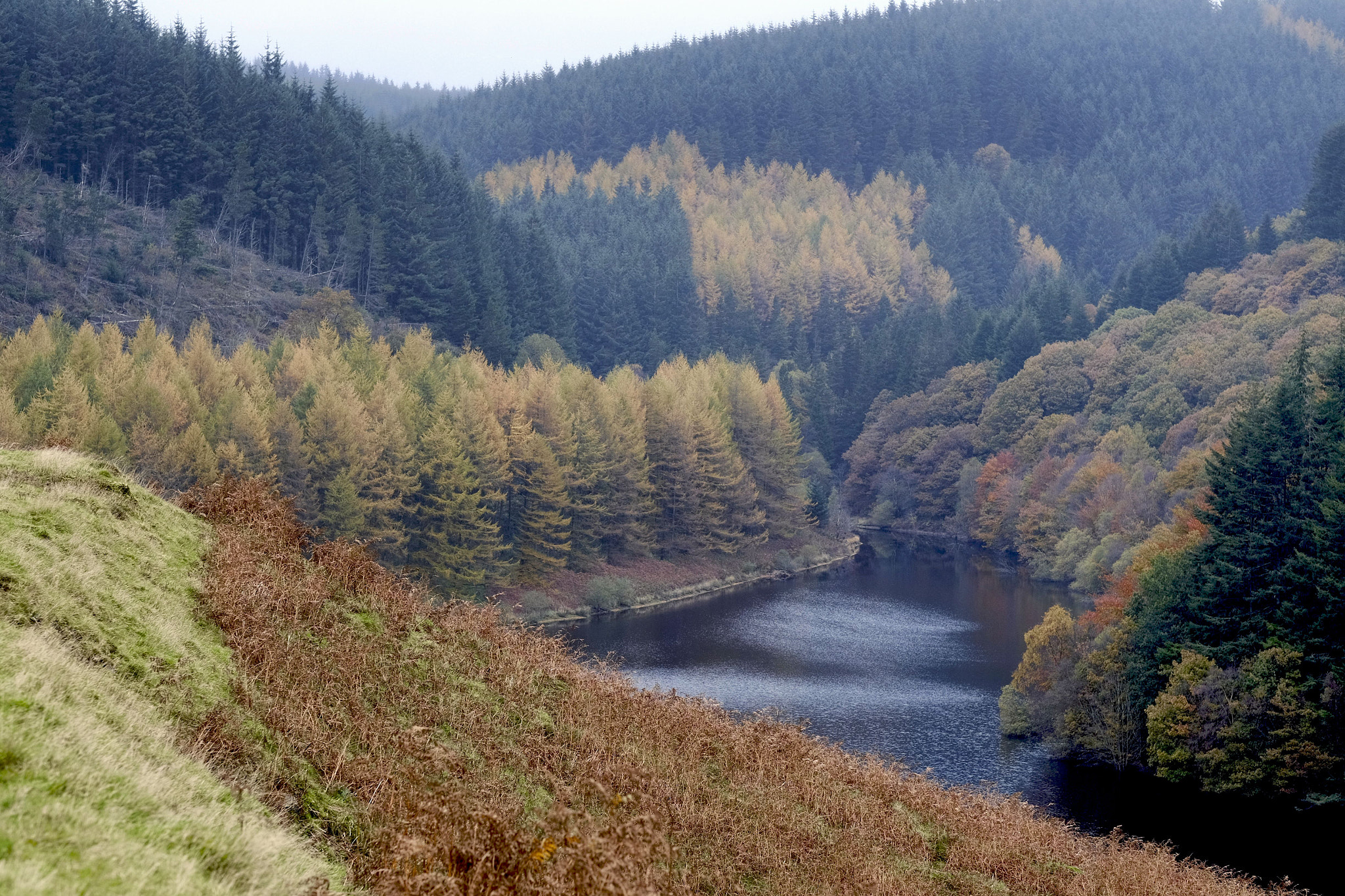 Fujifilm XF 56mm F1.2 R sample photo. Welsh autumn photography