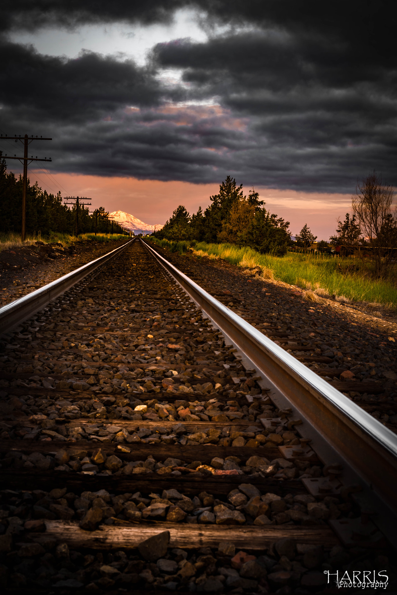 Nikon AF Micro-Nikkor 60mm F2.8D sample photo. Road less traveled photography