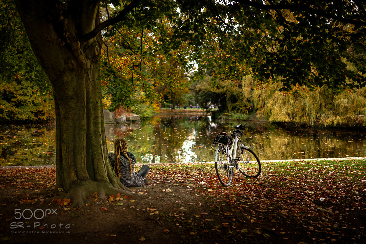 Sony a7 II + Sigma 35mm F1.4 DG HSM Art sample photo. Time to enjoy fall photography