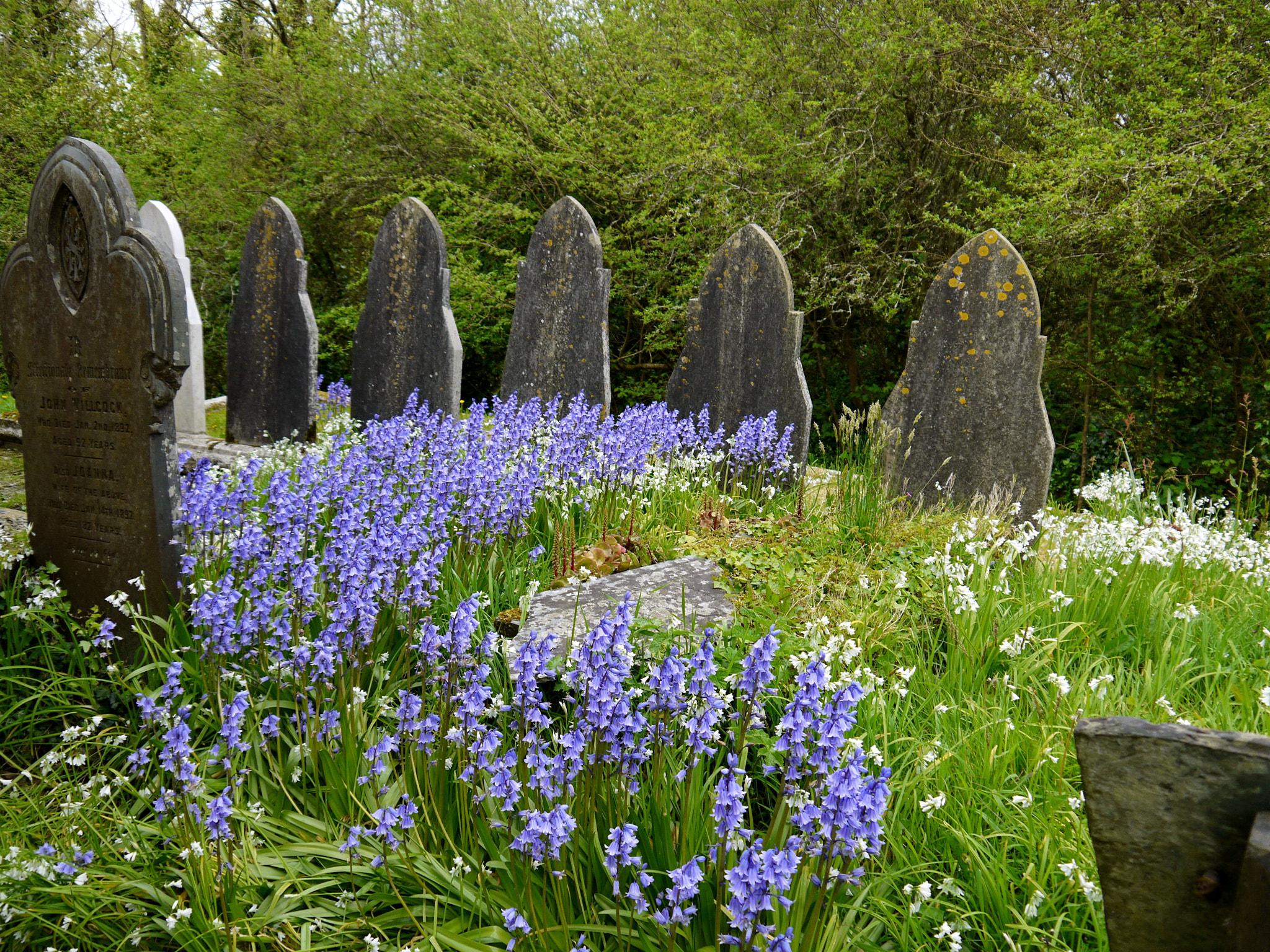 Panasonic Lumix DMC-GF3 sample photo. Cornwall churches, uk photography