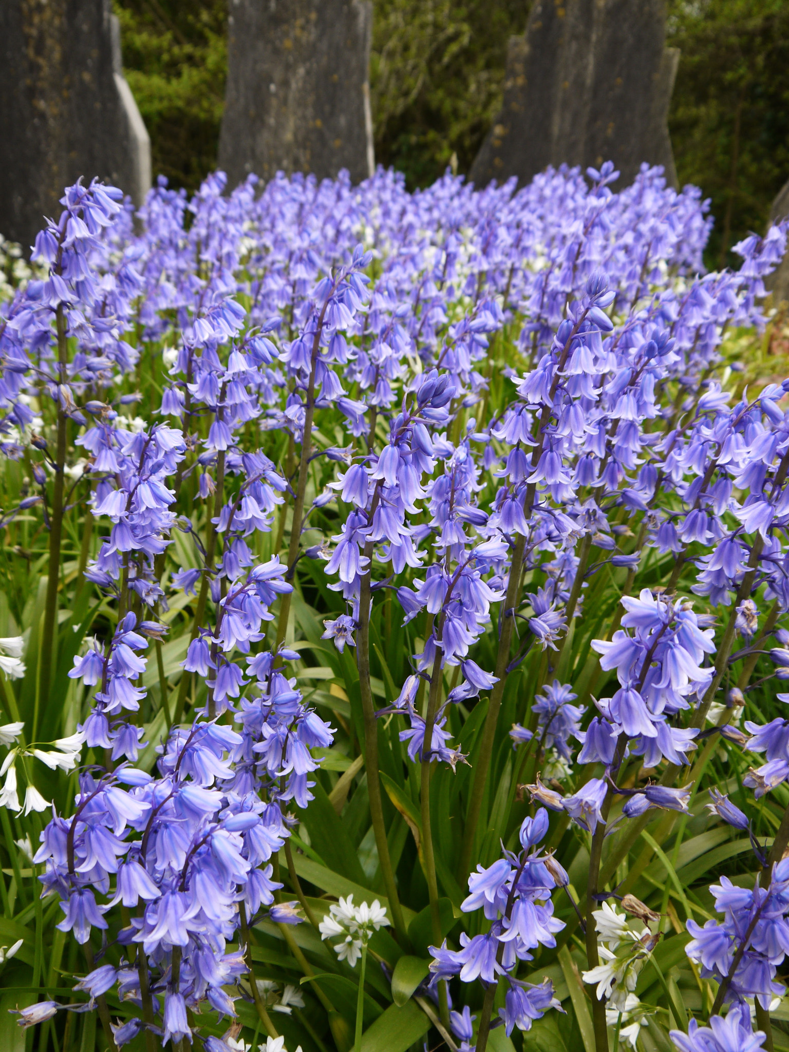 Panasonic Lumix DMC-GF3 sample photo. Cornwall churches, uk photography