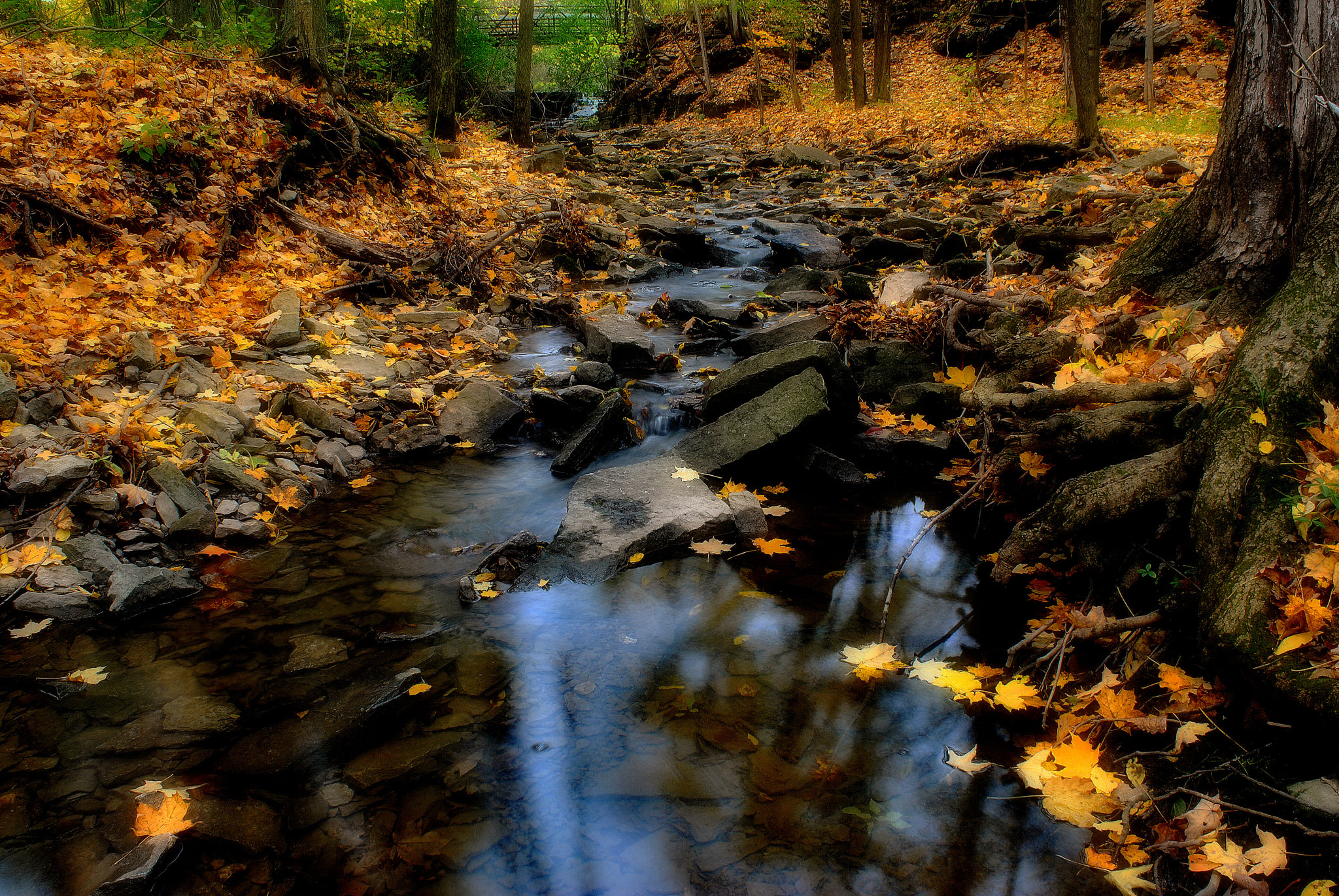 Nikon D3000 sample photo. Autumn creek photography