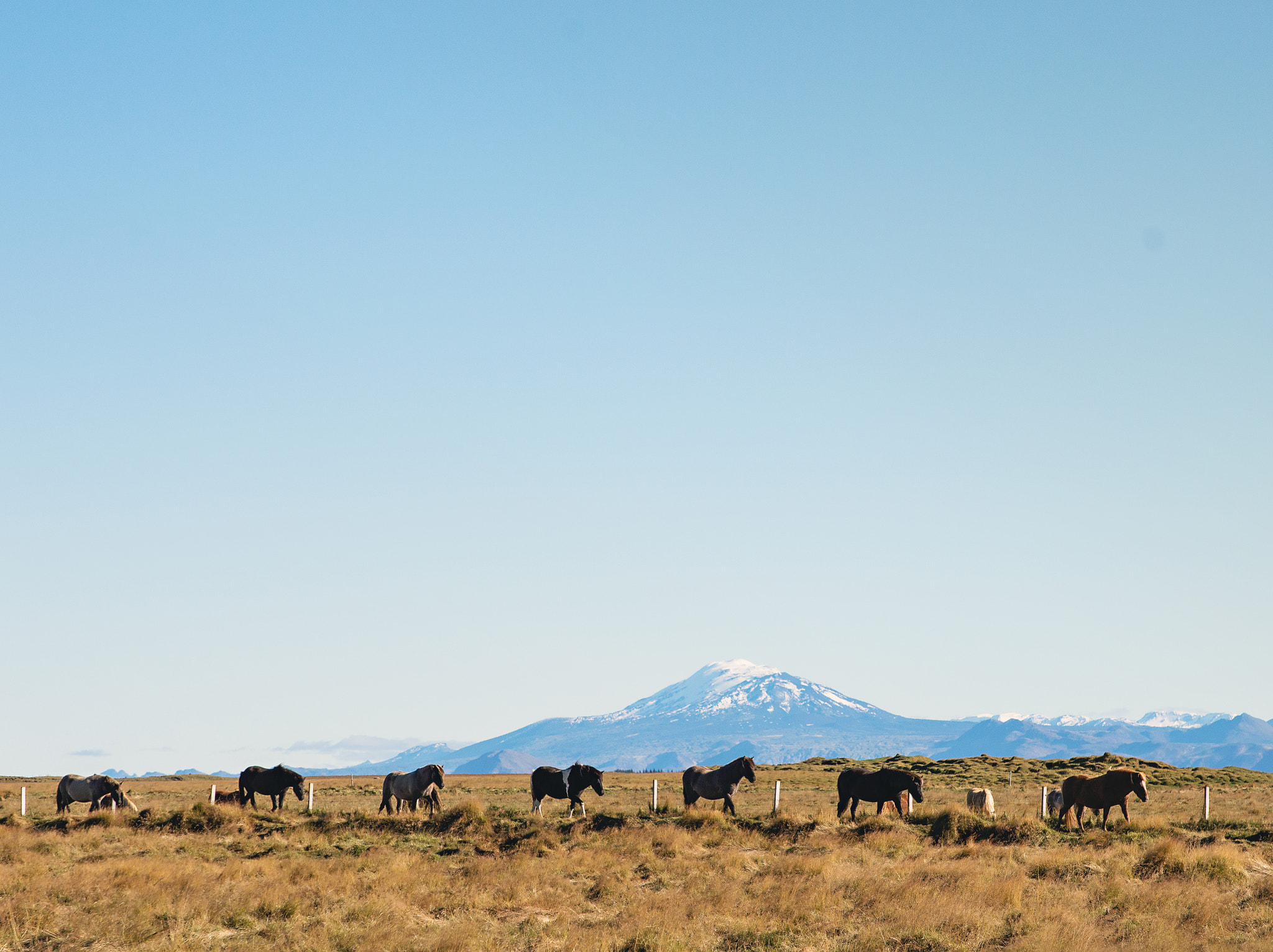 Sigma 24-70mm F2.8 EX DG HSM sample photo. Iceland photography