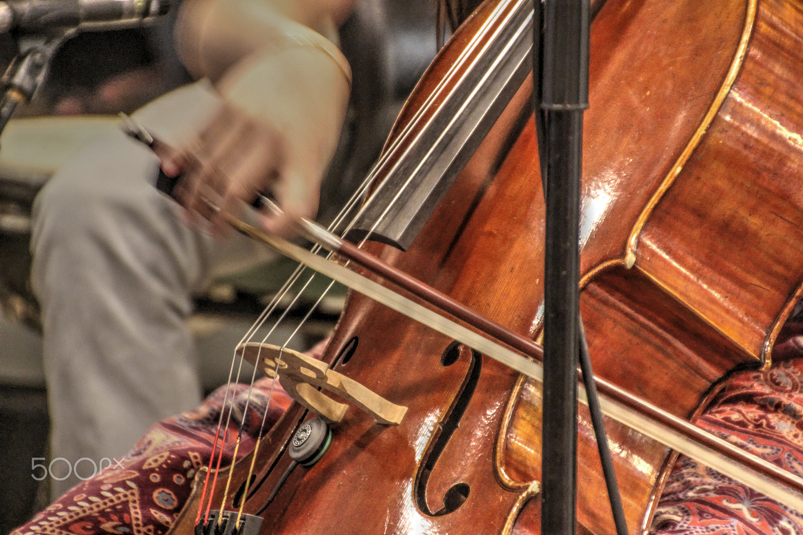 Canon EOS 600D (Rebel EOS T3i / EOS Kiss X5) sample photo. Bowing on the cello photography