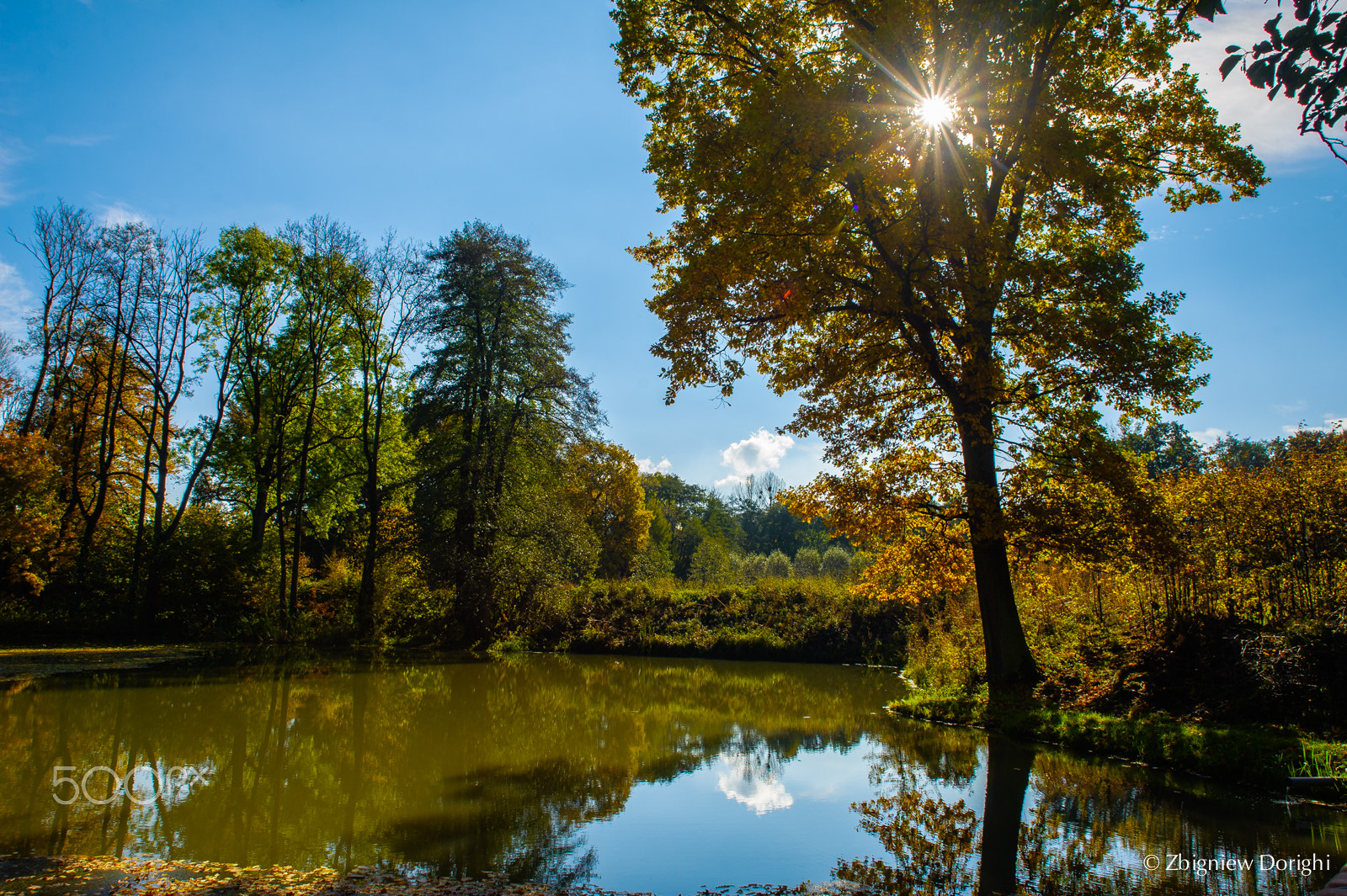 Nikon D700 + Sigma 24mm F1.8 EX DG Aspherical Macro sample photo. Autumn lake in poland photography