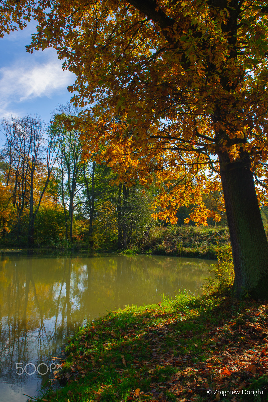 Nikon D700 + Sigma 24mm F1.8 EX DG Aspherical Macro sample photo. Autumn at pond photography