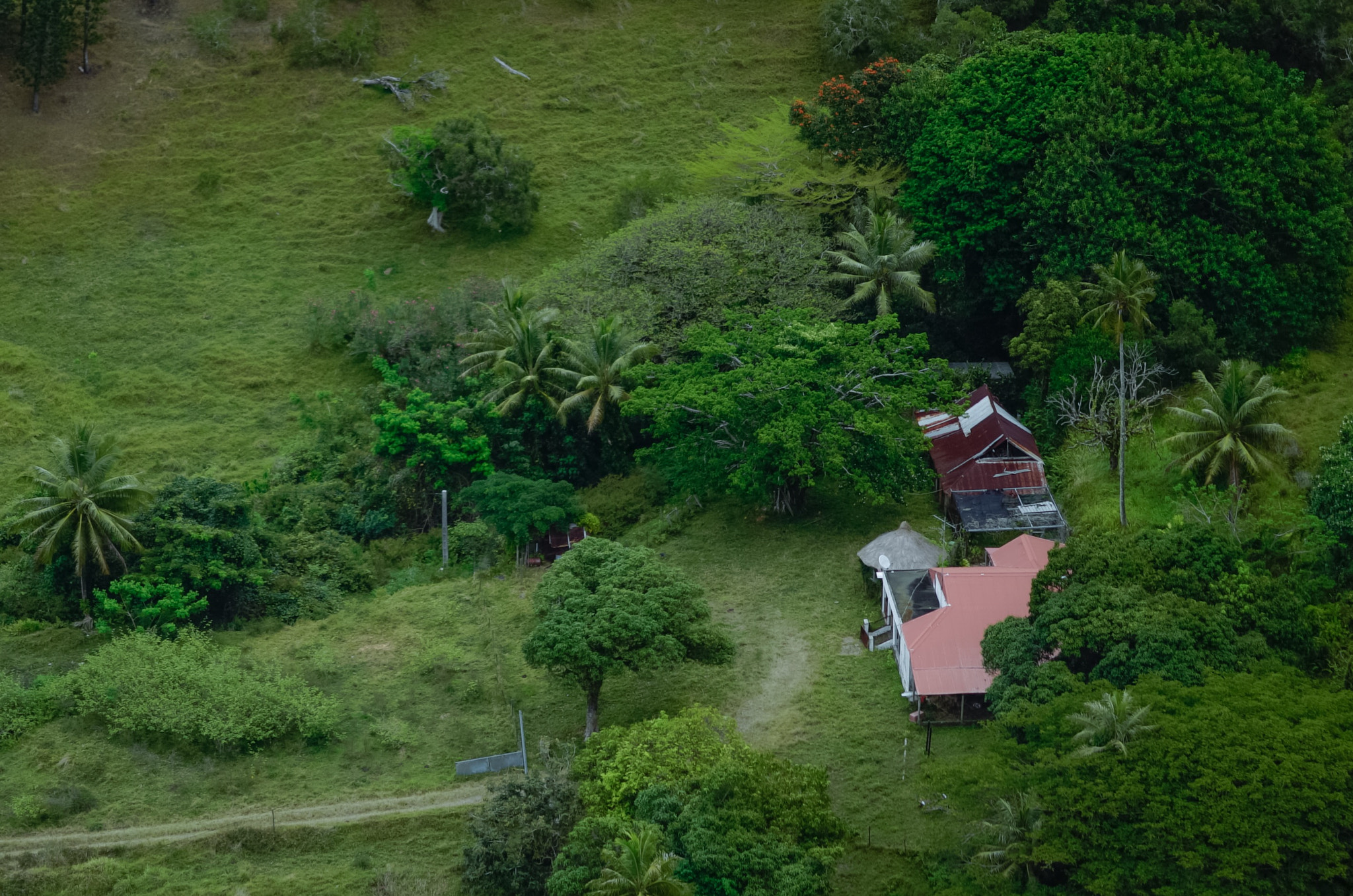 Sony FE 85mm F1.4 GM sample photo. Ponérihouen farm, new caledonia photography