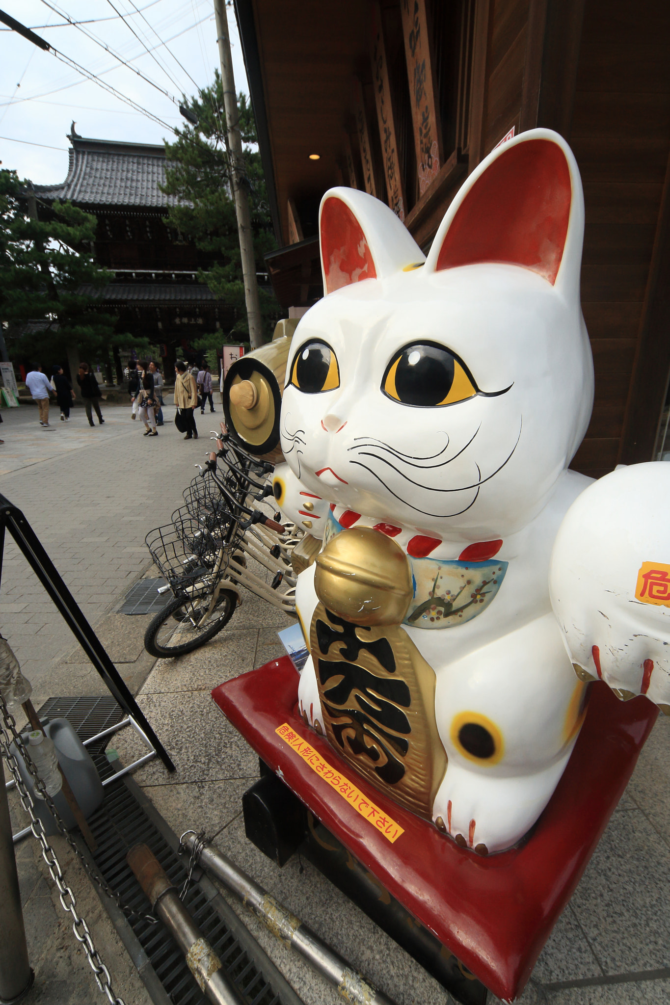 Canon EOS-1D Mark III sample photo. 千客万来 photography