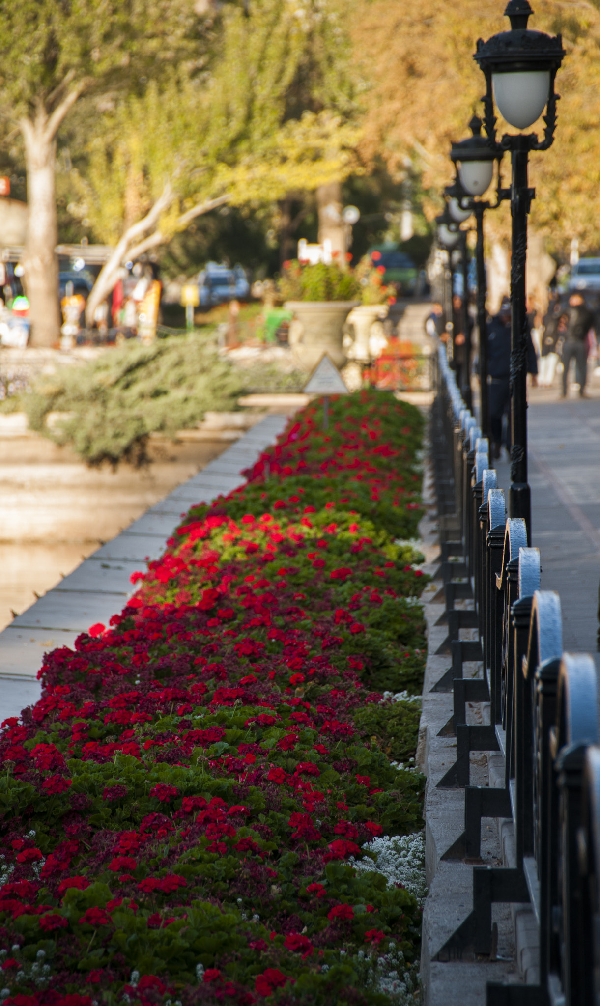 Sigma 18-200mm F3.5-6.3 II DC OS HSM sample photo
