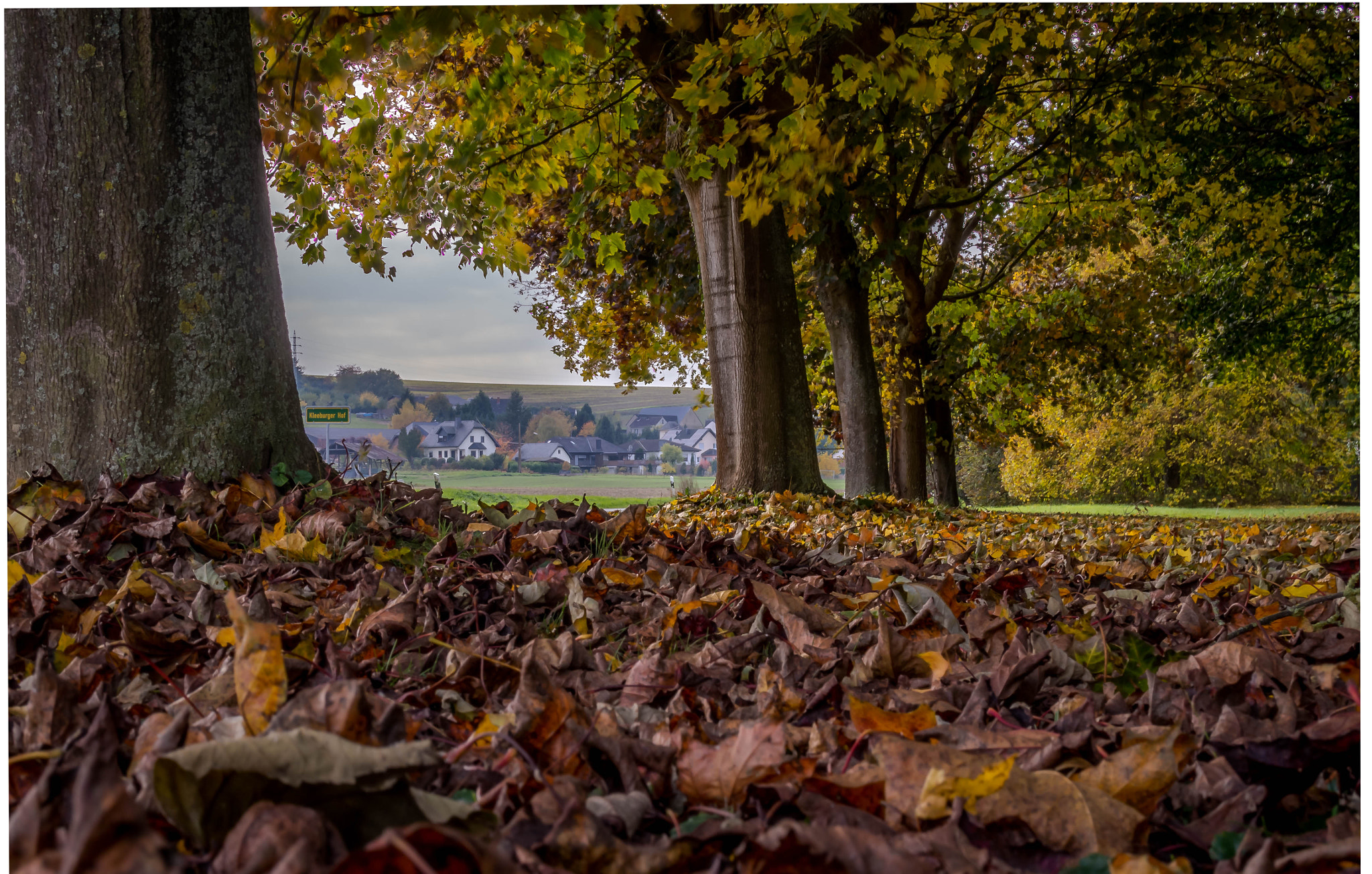 Panasonic Lumix G X Vario 35-100mm F2.8 OIS sample photo. Kleeburger hof. photography