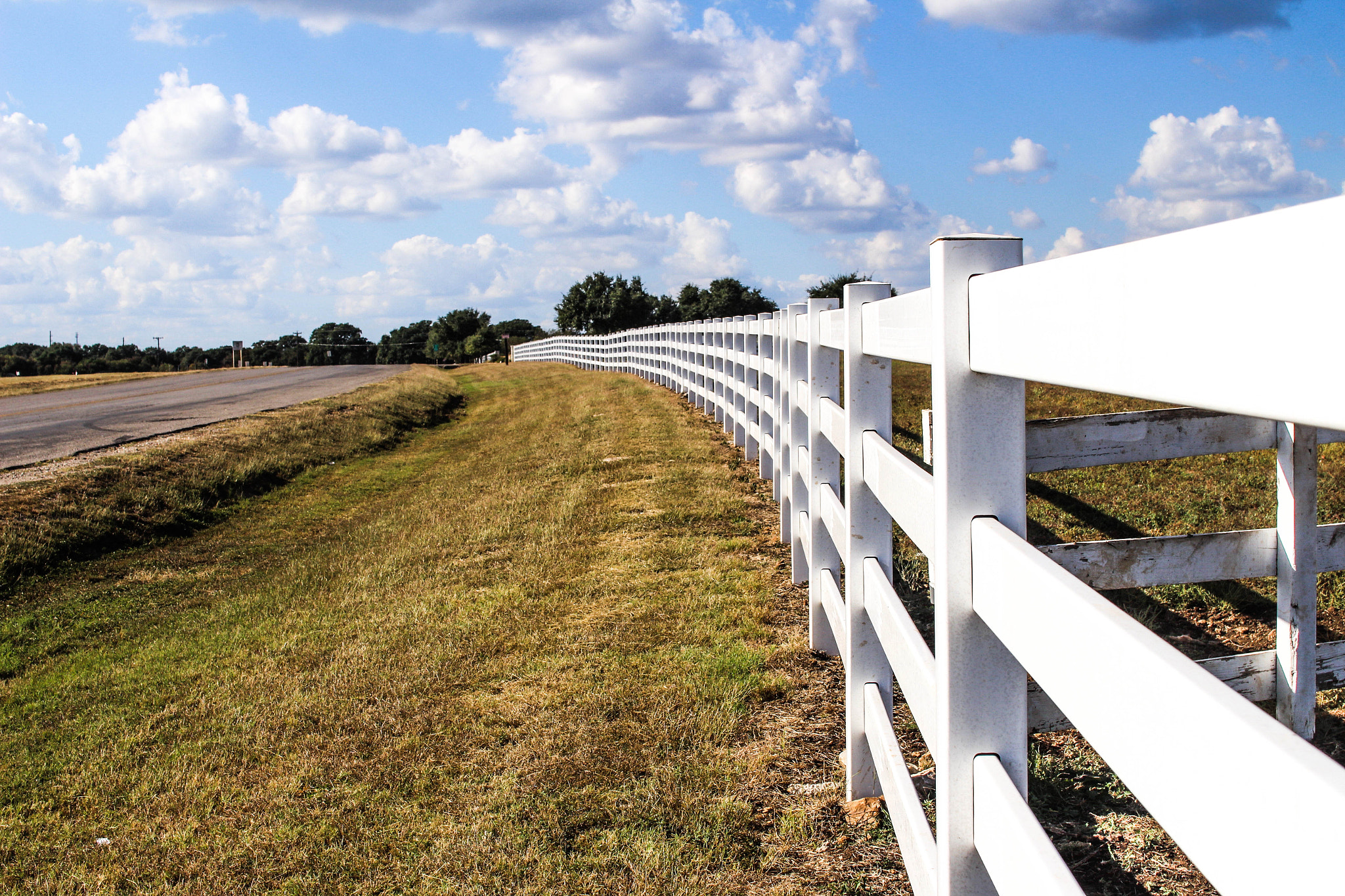 Sigma 30mm F1.4 EX DC HSM sample photo. Winding fence photography