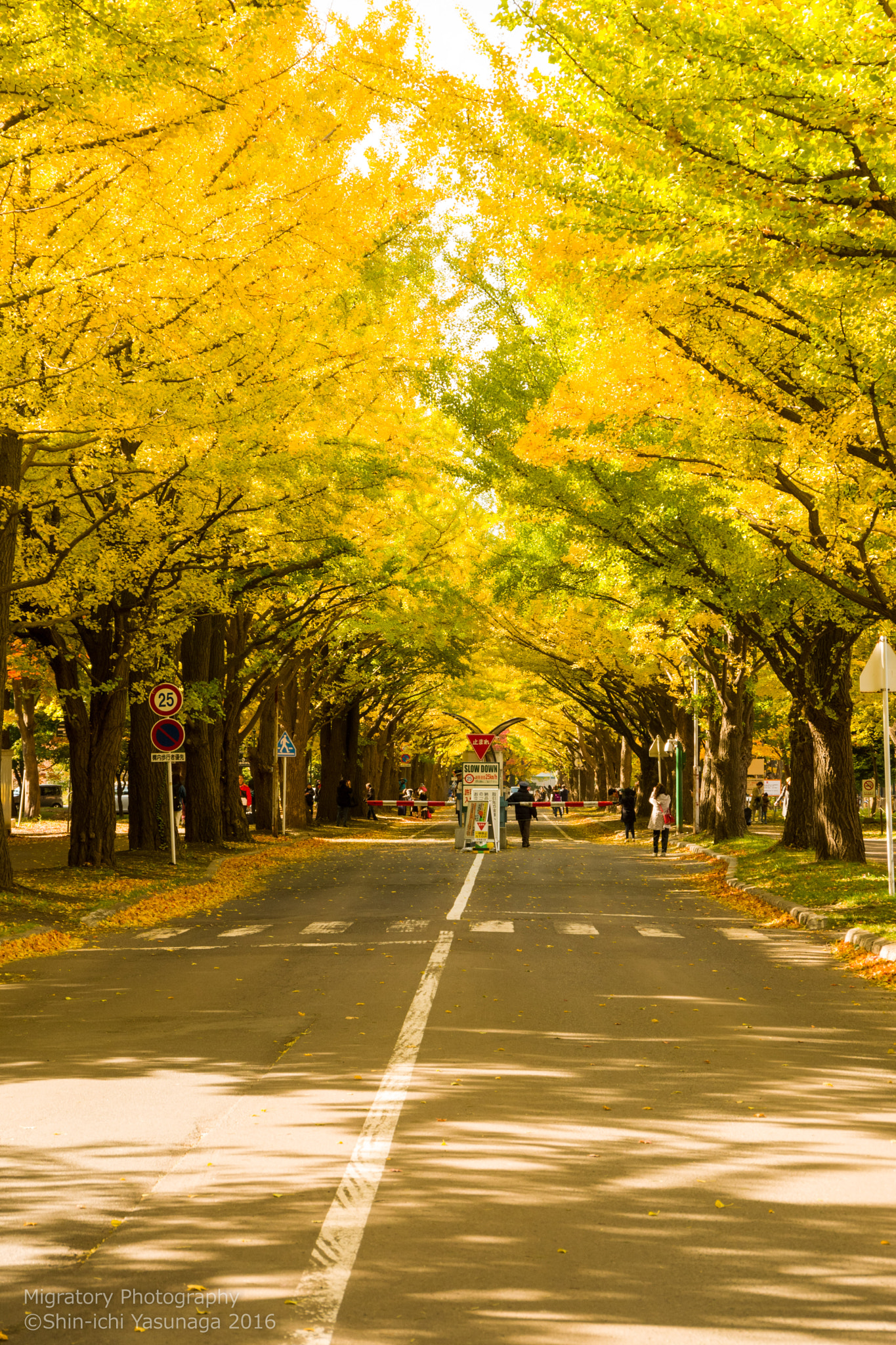 v2?sig=db135aa35d5ea9657f3810ddd7c67e20cfda01db3dbded260d1e6d16cc79c060