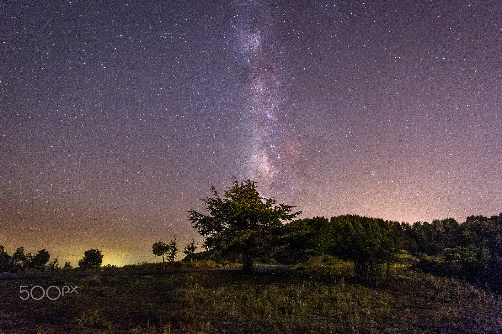 Canon EF-S 10-22mm F3.5-4.5 USM sample photo. Night under the galaxy photography