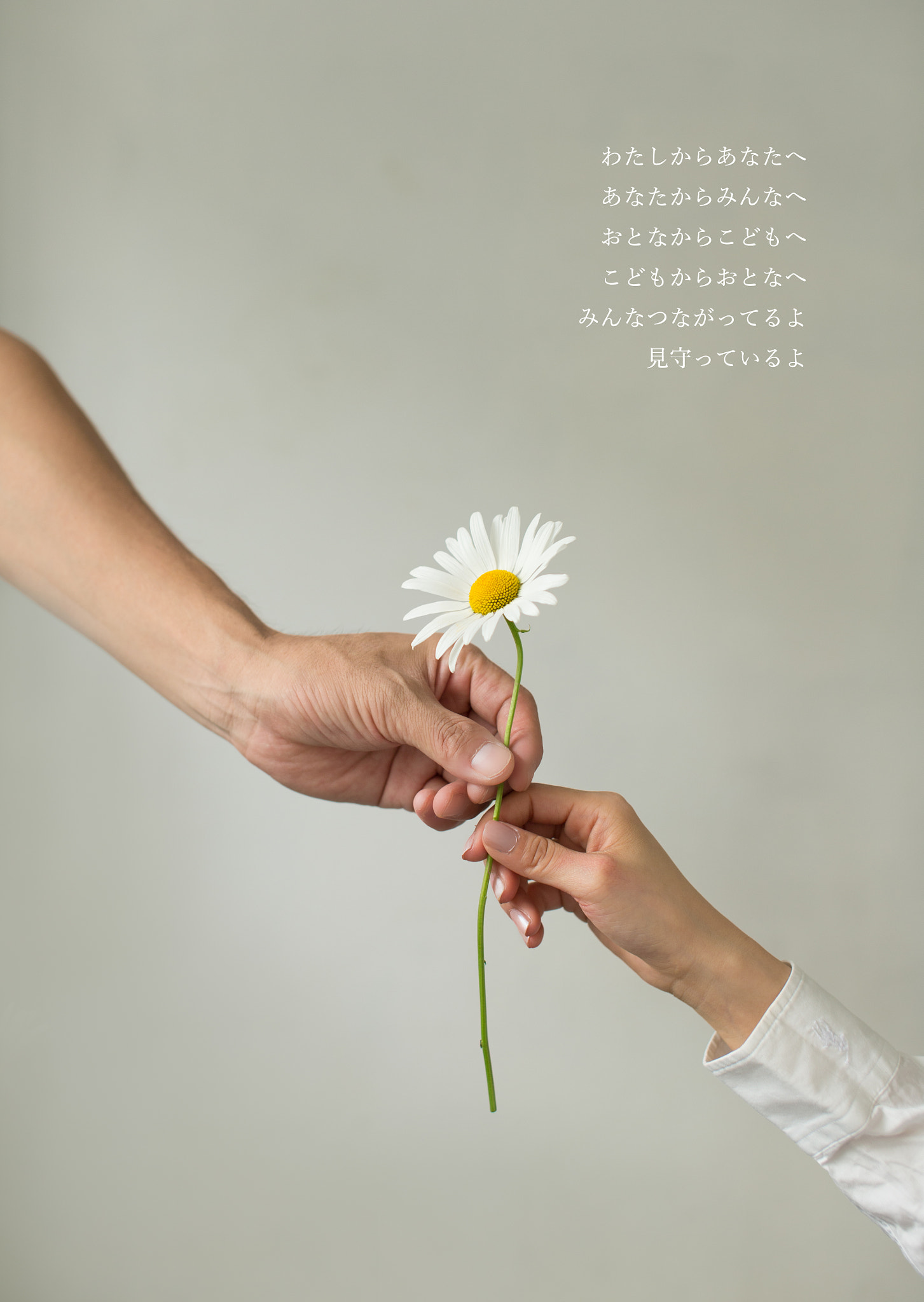 Sigma 50mm F1.4 EX DG HSM sample photo. Hands photography