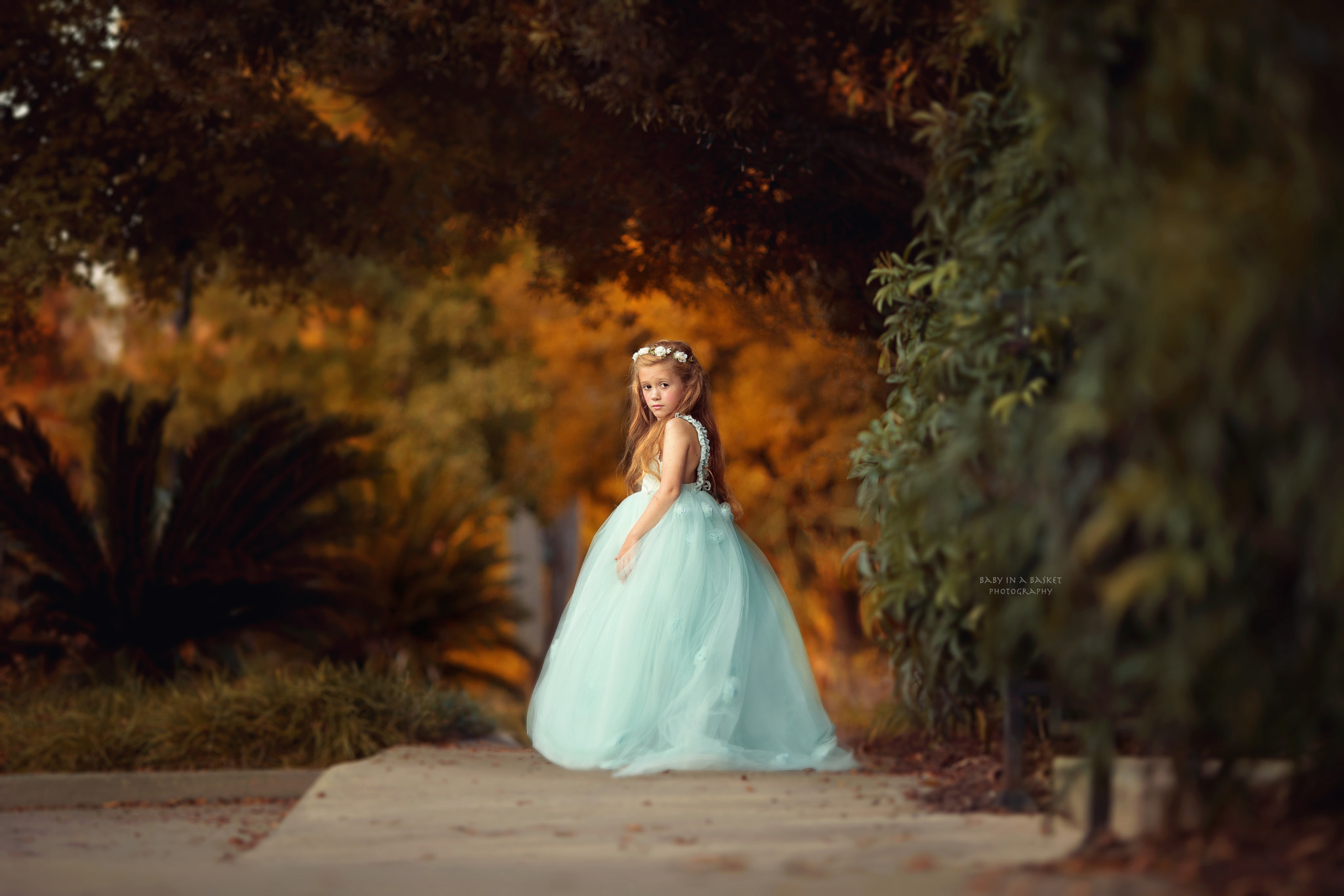 Canon EOS 5D Mark IV + Canon EF 135mm F2L USM sample photo. Autumn photography