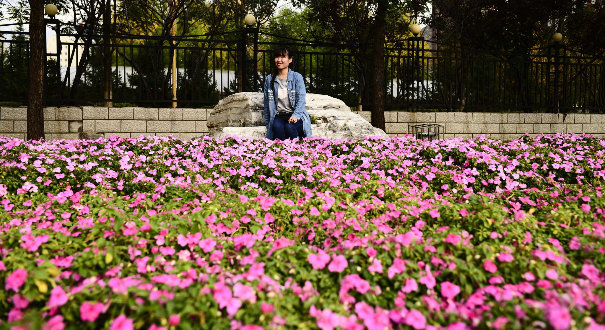 Nikon D610 + AF Nikkor 24mm f/2.8 sample photo