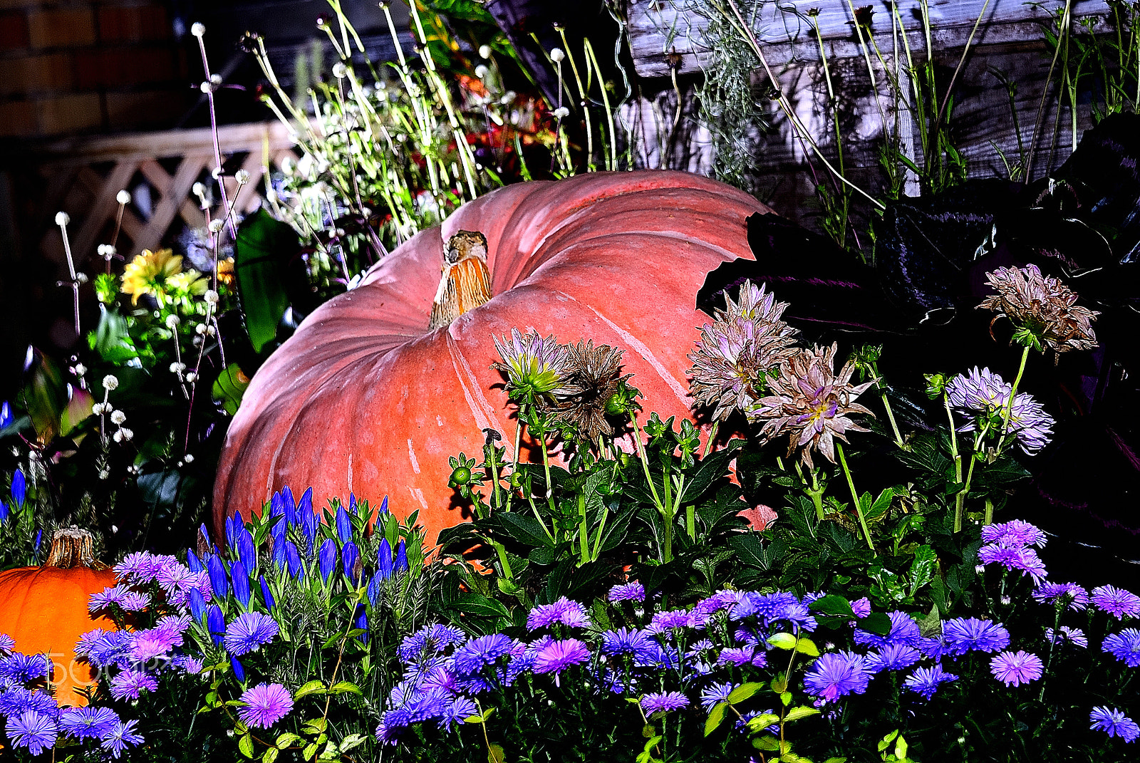 Nikon D200 sample photo. Halloween pumpkin photography