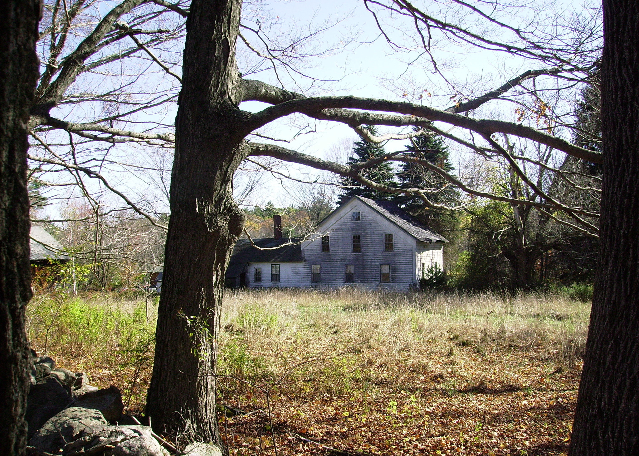 Pentax OPTIO E10 sample photo. The homestead in spring photography