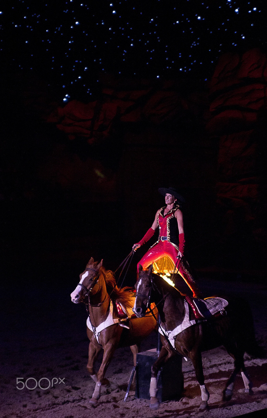 Canon EOS 600D (Rebel EOS T3i / EOS Kiss X5) + Tamron AF 28-75mm F2.8 XR Di LD Aspherical (IF) sample photo. Roman riding @ dixie stampede photography