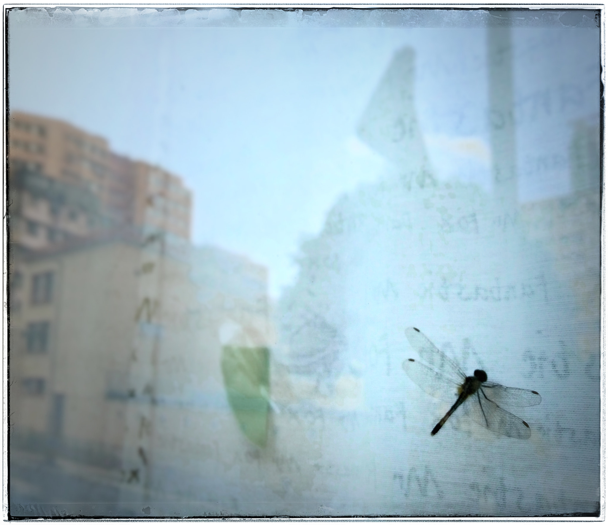Meizu m1 note sample photo. Fly photography