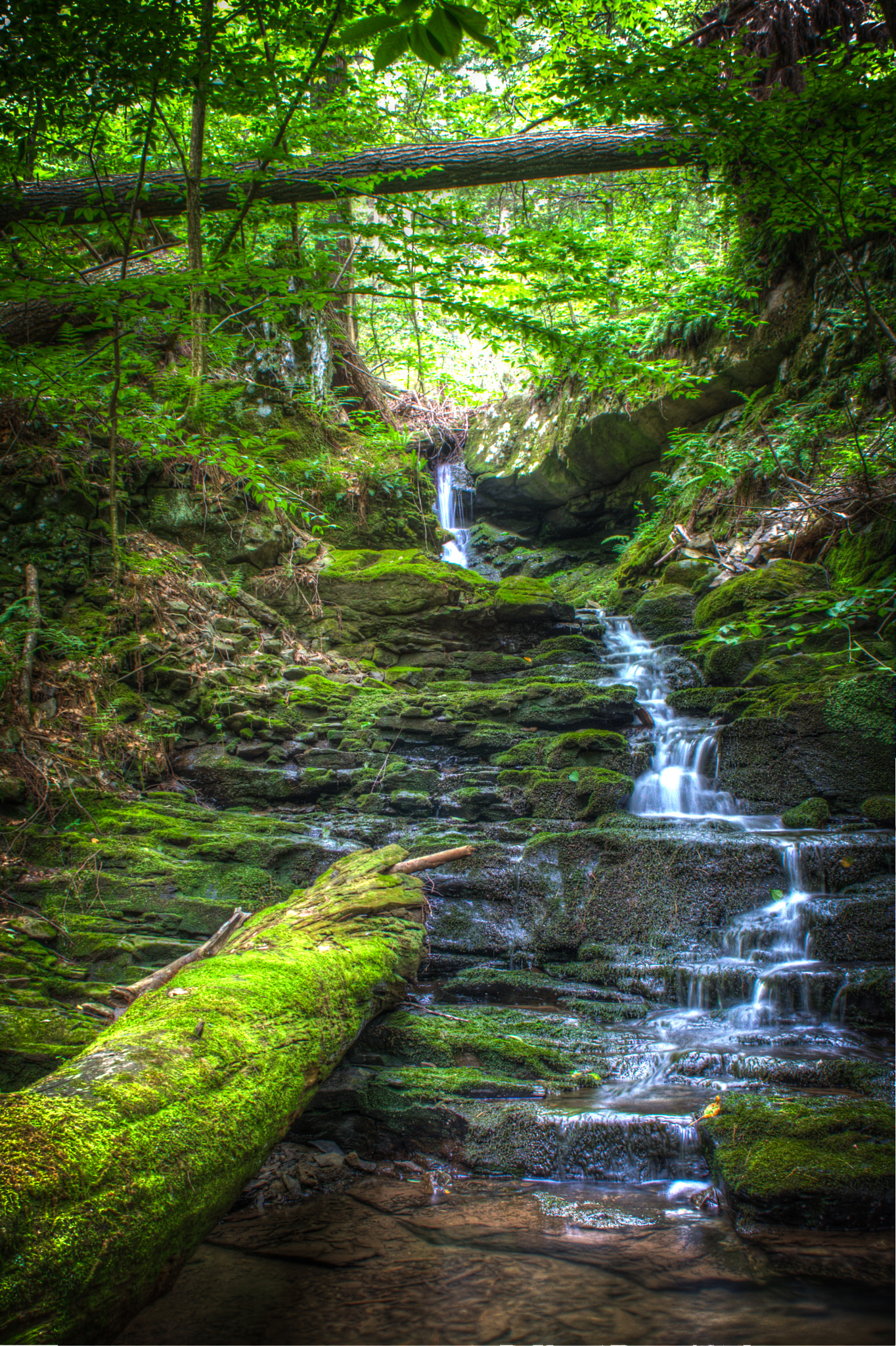 Canon EOS 40D + Sigma 24-70mm F2.8 EX DG Macro sample photo. Hornbecks creek, delaware water gap, pa photography