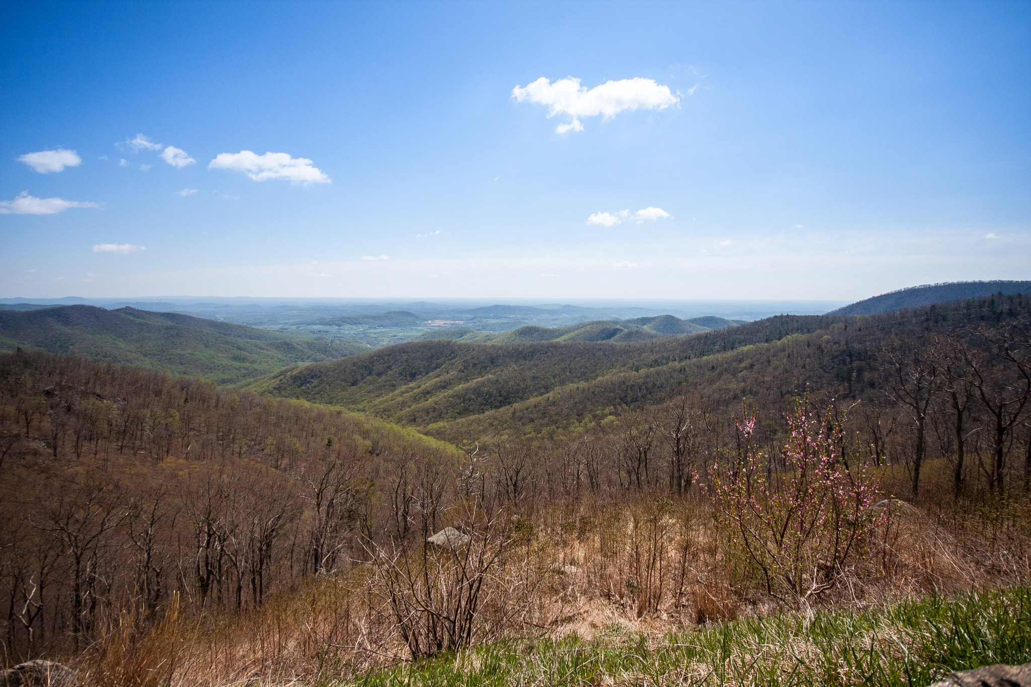 Canon EOS 40D sample photo. Skyline drive, va. photography