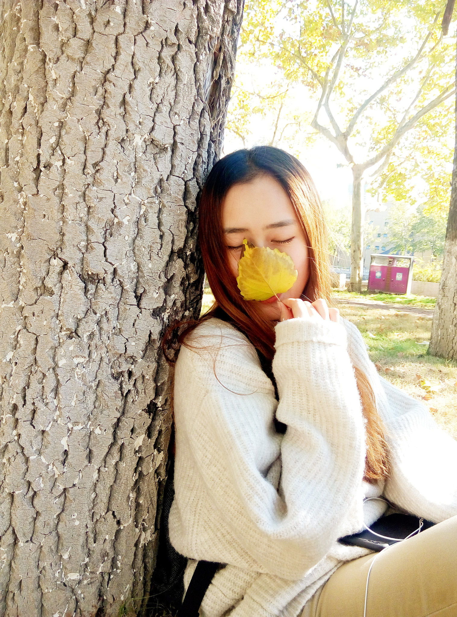 Meizu m1 note sample photo. Autumn photography