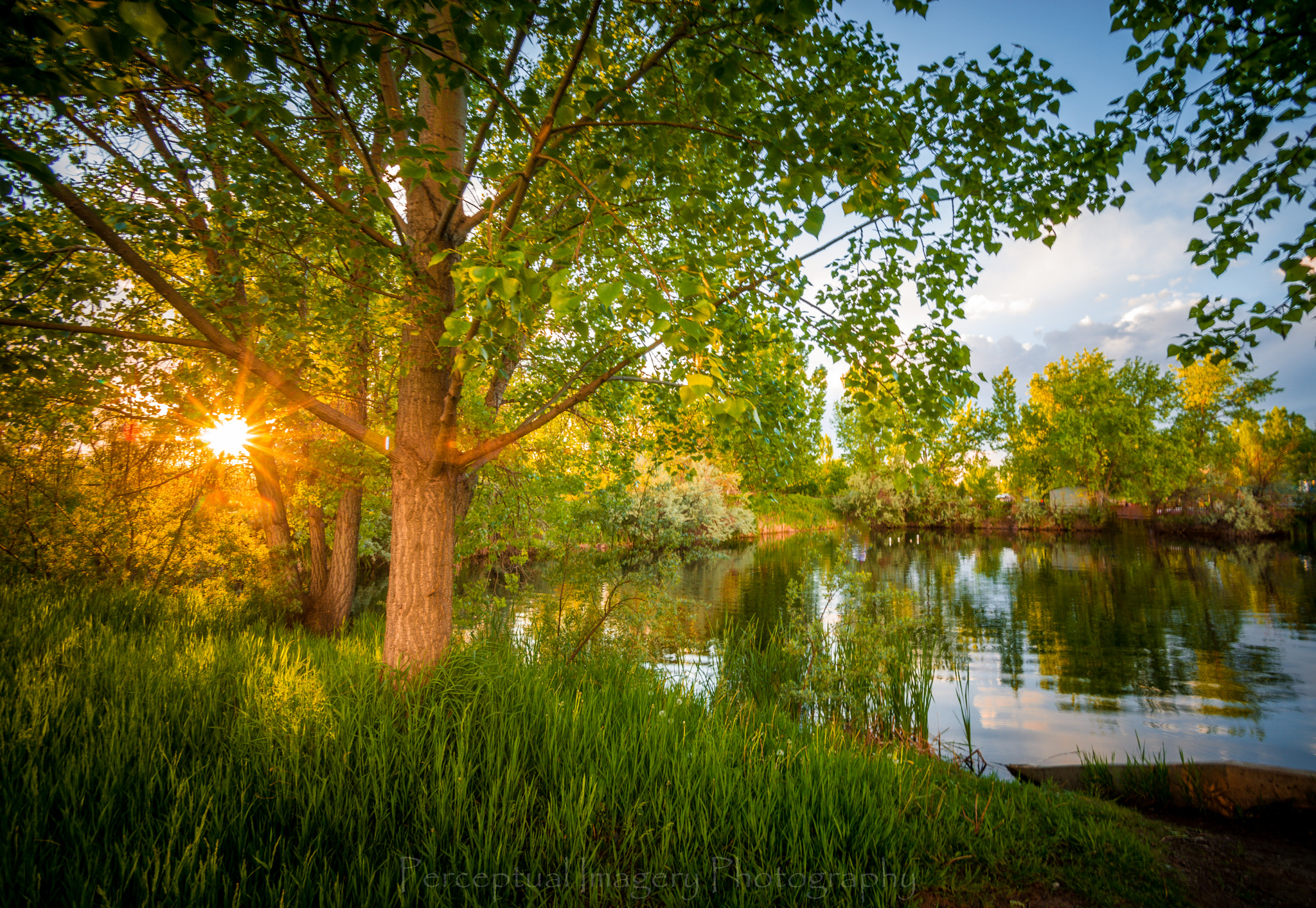 Sony SLT-A99V + Minolta AF 17-35mm F3.5 G sample photo. Fort collins co..... photography
